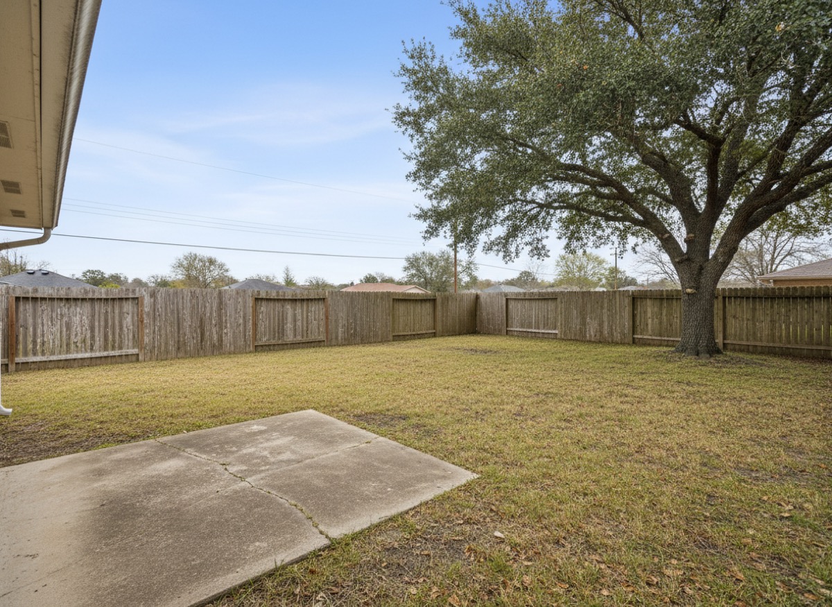 Backyard before